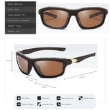 Bavincis Albert Brown And Brown Sports Edition Sunglasses