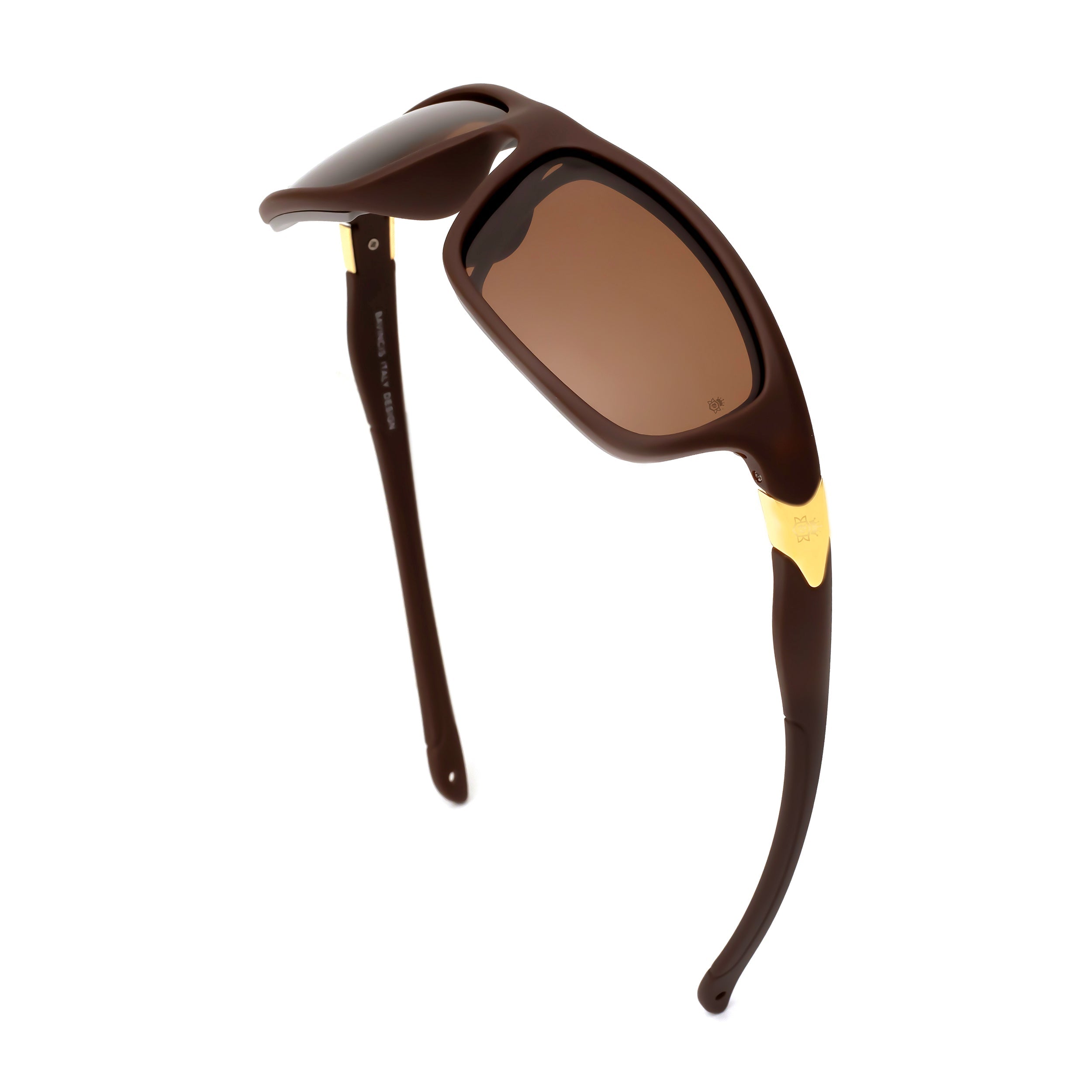 Bavincis Albert Brown And Brown Sports Edition Sunglasses