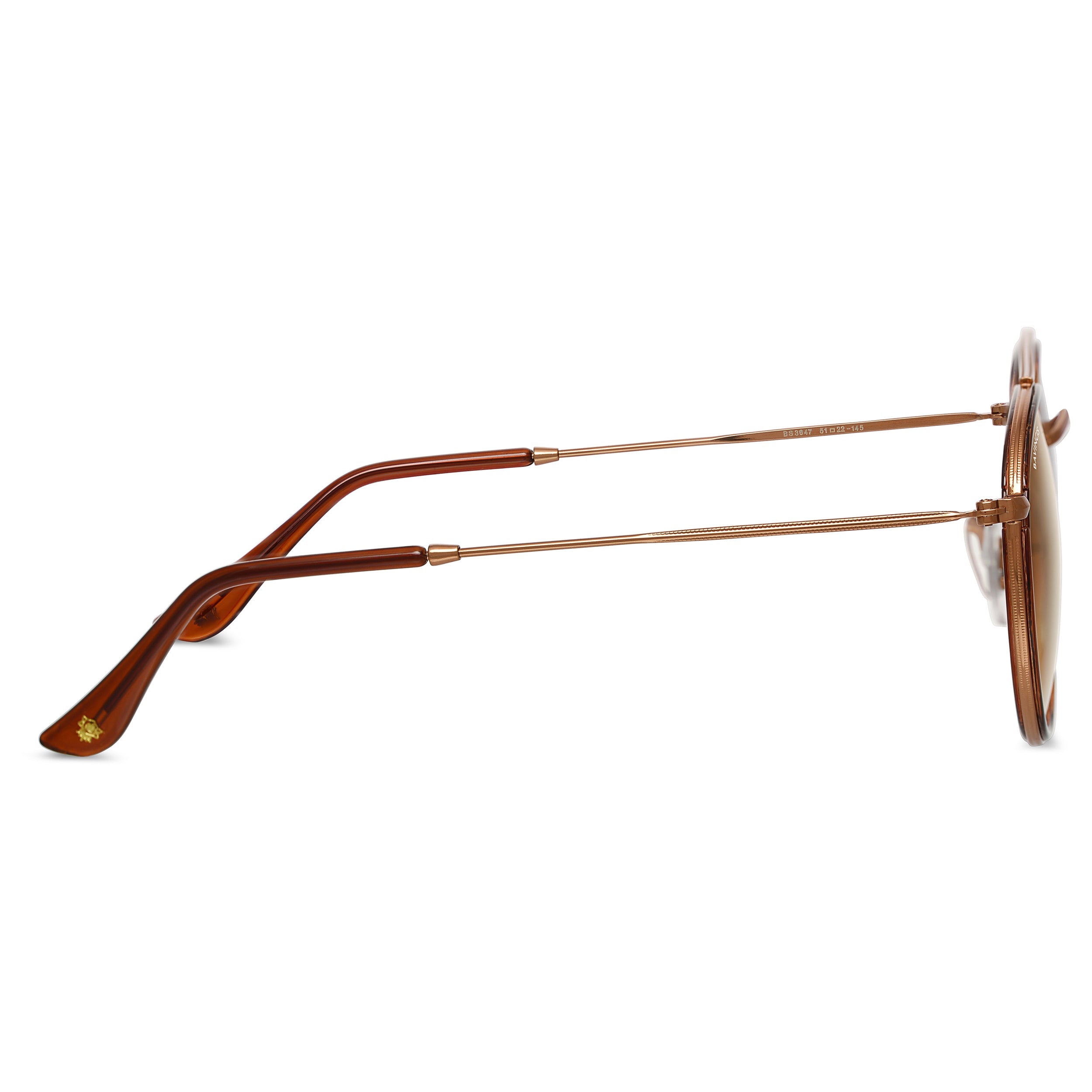 Bavincis Joyce Brown And Brown Gradient Edition sunglasses