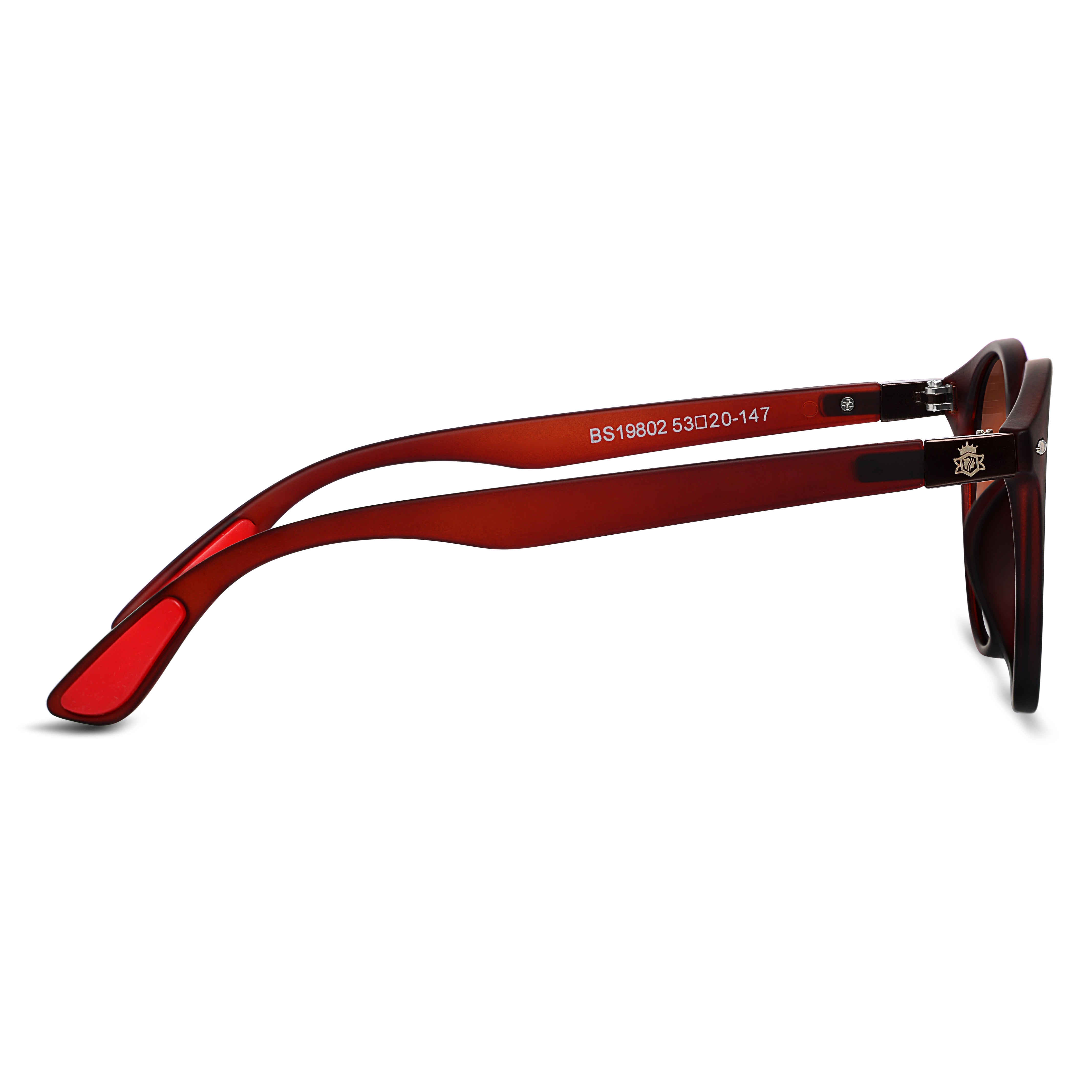 Bavincis Groovi Brown And Brown Edition Sunglasses - BAVINCIS