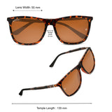 Bavincis Flair Brown And Brown Edition Sunglasses