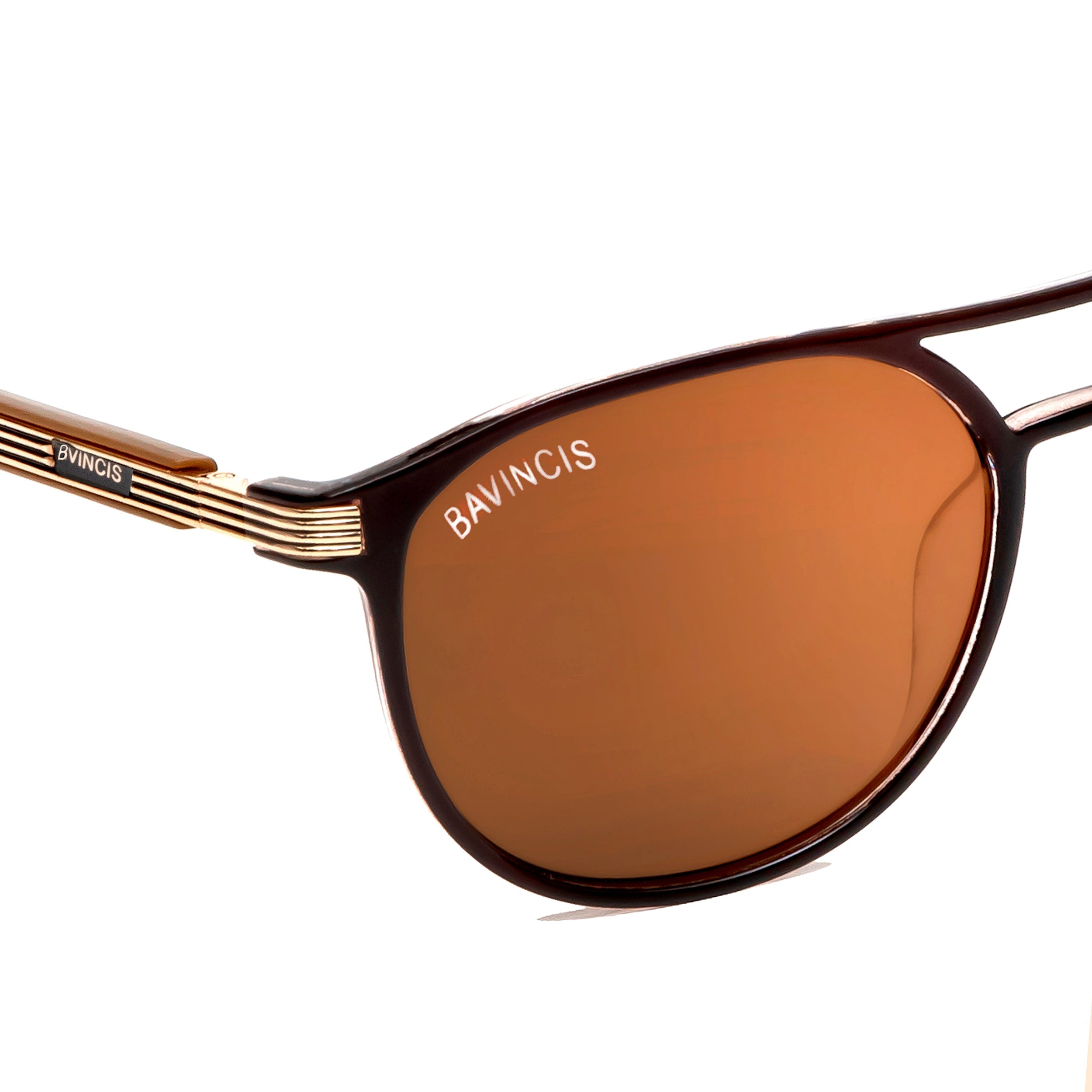 Bavincis Calvert Brown And Brown Edition Sunglasses