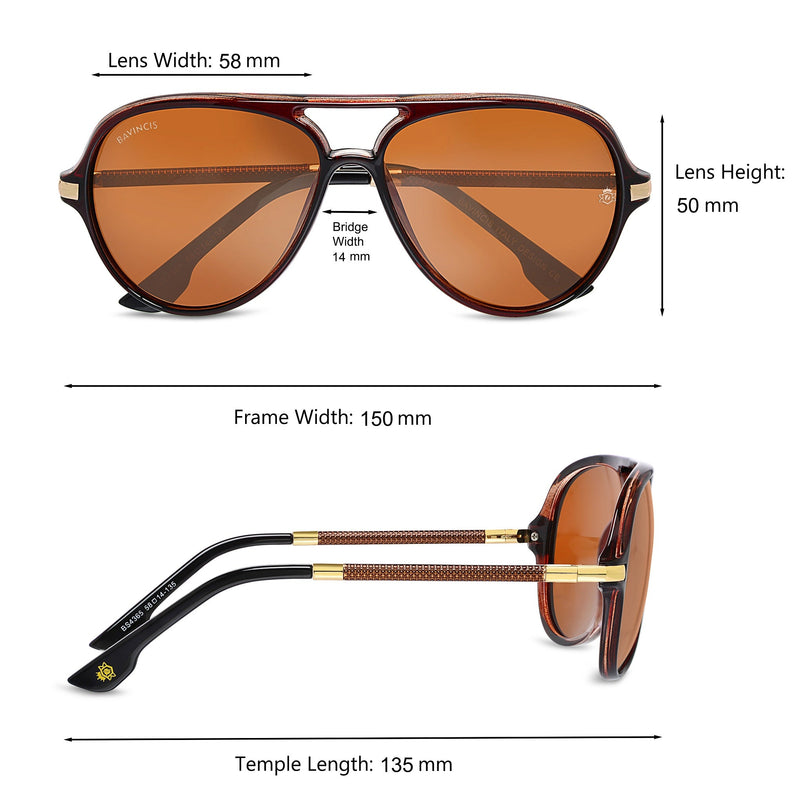 Bavincis Rockford Brown And Brown Edition Sunglasses - BAVINCIS