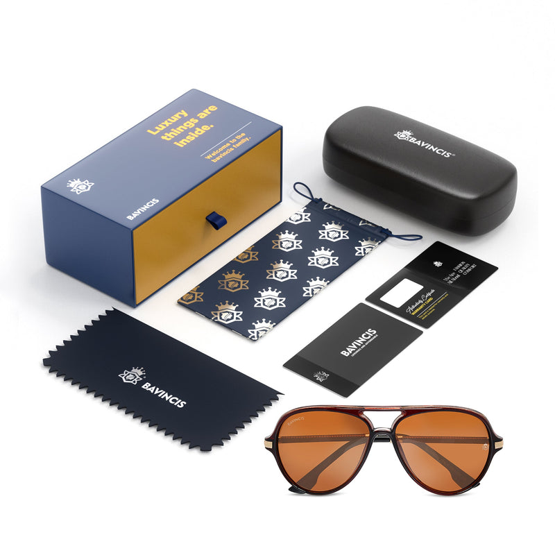 Bavincis Rockford Brown And Brown Edition Sunglasses
