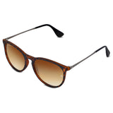 Bavincis Gracy T Brown And Gradient Brown Edition sunglasses - BAVINCIS
