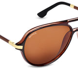 Bavincis Rockford Brown And Brown Edition Sunglasses
