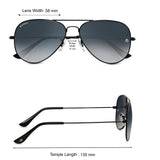 Bavincis Tommy Black And Gray Gradient Edition Sunglasses
