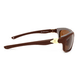 Bavincis Albert Brown And Brown Sports Edition Sunglasses